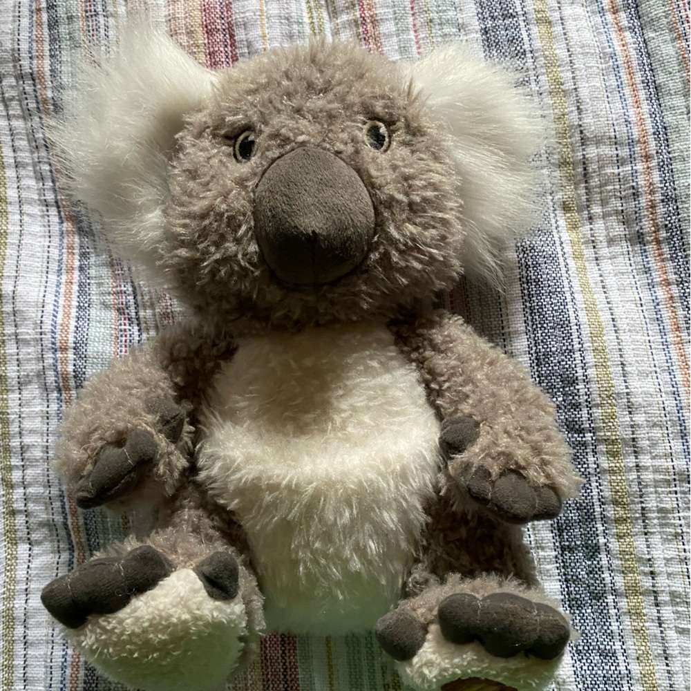 Stuffed Koala